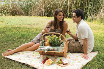 romantic picnic