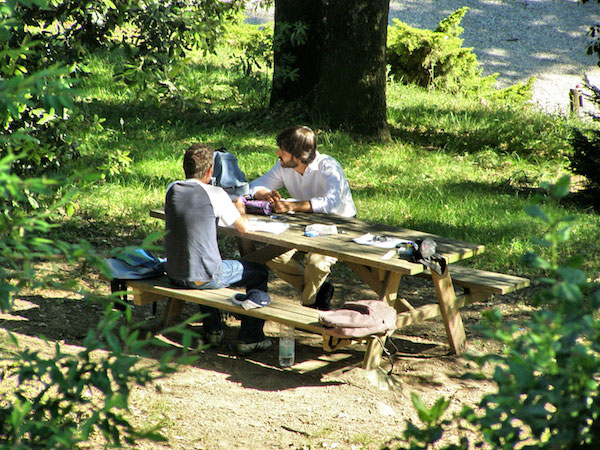 picnic